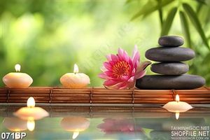 Tranh spa thiên nhiên đá cuội đen massage