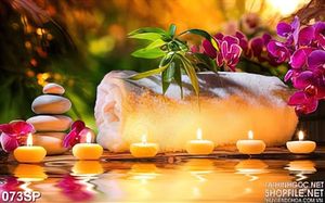 Tranh in wall cảnh thiên nhiên ánh nến