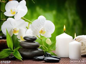 Tranh in spa hoa lan trắng đẹp