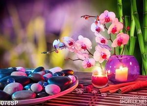 Tranh jpg hoa lan lấp lánh
