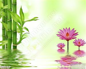 Tranh in tường đẹp mắt cành trúc in bóng nước