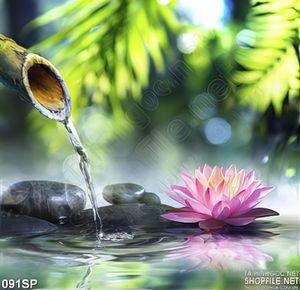 Tranh hoa sen thiên nhiên spa