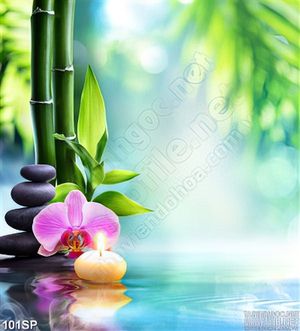 Tranh thiên nhiên spa mới nhất