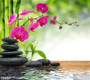 Tranh in hoa lan cho spa mới