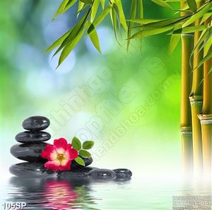 Tranh jpg hình ảnh cho spa đẹp