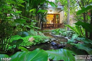 Tranh spa ngôi nhà đẹp thư giãn