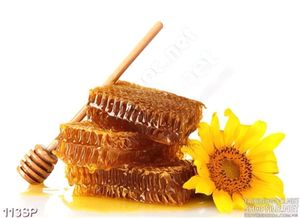 Tranh jpg spa mật ong làm đẹp da