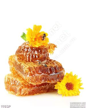 Tranh spa hoa cúc vàng và mật ong
