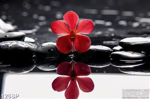 Tranh đẹp hoa lan đỏ in tường spa