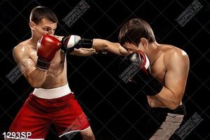 Tranh hai võ sỹ boxing thi đấu