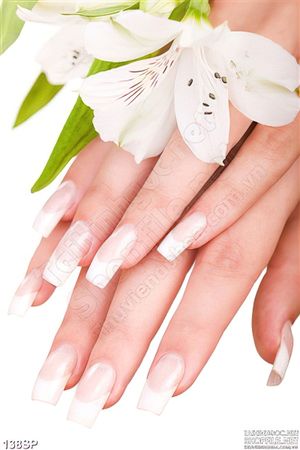 Tranh spa nail đôi tay đẹp