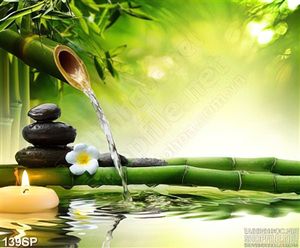 Tranh cảnh thiên nhiên in spa