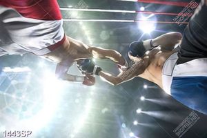 Tranh trận đấu boxing in uv