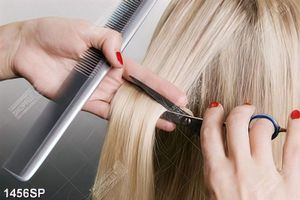 Tranh tạo mẫu tóc trong salon