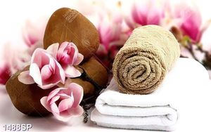 Tranh spa khăn hoa lan và đá