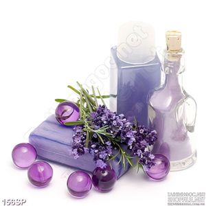 Tranh spa hoa lavender tím