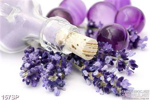 Tranh spa sản phẩm tinh dầu hoa lavender tím