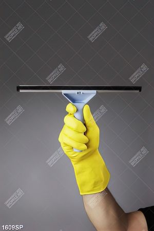 Tranh dụng cụ lau cửa kính