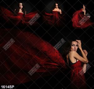 Tranh cô gái quyến rũ với nhiều cách tạo dáng