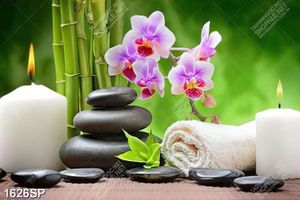 Tranh psd hoa lan và nến treo spa