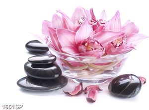 Tranh đẹp treo spa hoa lan và đá