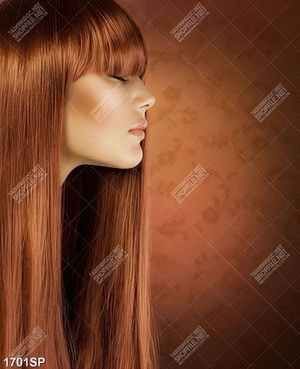 Tranh in canvas người mẫu với mái tóc tài