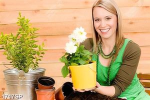 Tranh cô gái trẻ bưng chậu hoa nhỏ trên tay in uv