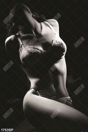 tranh người mẫu bikini nghệ thuật trắng đen treo tường spa