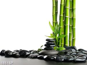 Tranh spa cây trúc xanh và đá đen
