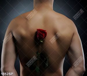 Tranh spa bông hồng nhung sau lưng người đàn ông