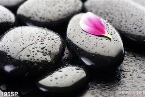 Tranh spa nghệ thuật cánh hồng