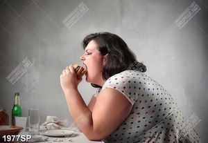 Tranh spa cô nàng béo ăn bánh mỳ hamburger