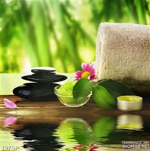 Tranh spa dụng cụ đá muối nóng thiên nhiên
