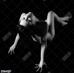 Tranh nghệ thuật theo spa người mẫu bán nude