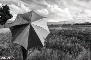 Tranh đen trắng cô gái che dù đứng giữa cánh đồng cỏ