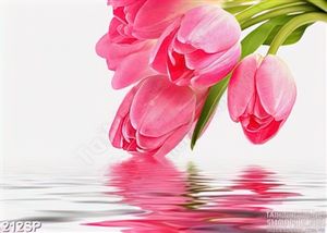 Tranh hoa tulip hồng tinh khiết