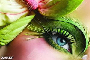 Tranh spa đôi mắt make up nghệ thuật
