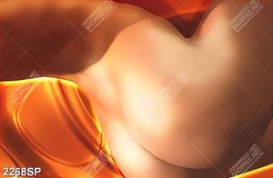 Tranh vòng ba nghệ thuật treo spa