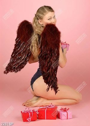Tranh spa người đẹp mang đôi cánh
