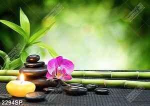 Tranh spa cành trúc xanh và hoa lan tím
