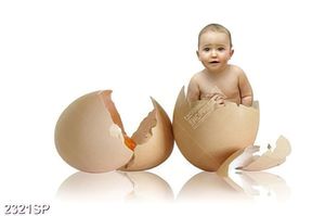 Tranh cậu bé dễ thương ngồi trong vỏ trứng in uv