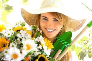 Tranh spa cô gái làm vườn xinh đẹp