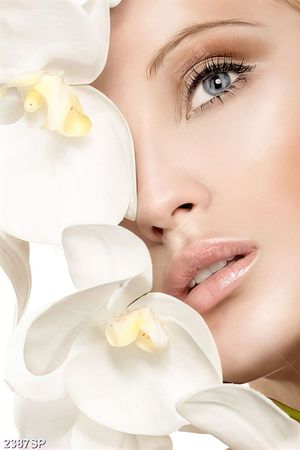 Tranh spa gương mặt bên hoa lan trắng
