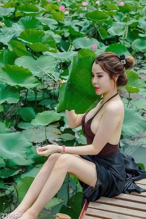 Tranh spa thiếu nữ gợi cảm ngồi bên hồ sen