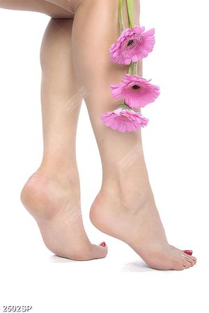Tranh spa hoa đồng tiền bên đôi chân trần