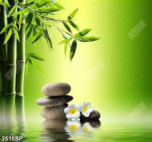 Tranh spa cây trúc xanh và hoa sứ trắng