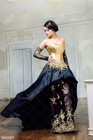Tranh spa người đẹp mặc chiếc đầm sang trọng