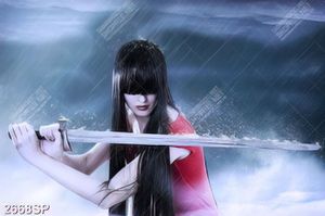 Tranh nghệ thuật người đẹp cầm gươm