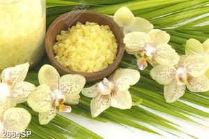 Tranh muối đá spa và cành hoa lan in uv