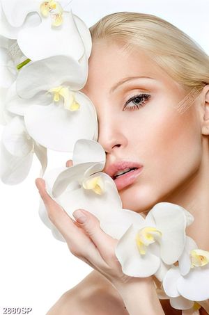 Tranh spa người đẹp bên cành hoa lan trắng